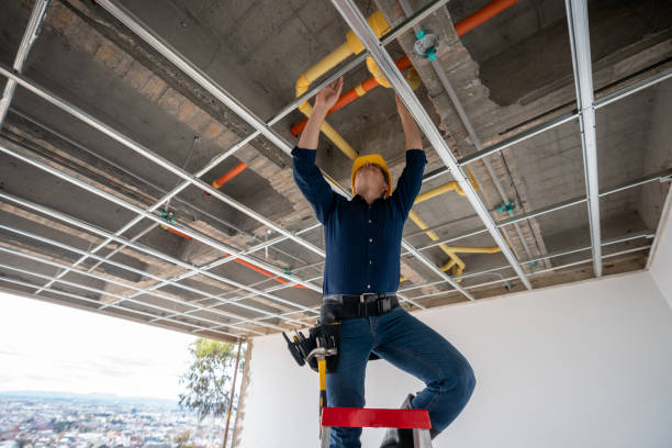 Best Emergency Plumber  in Pulaski, WI