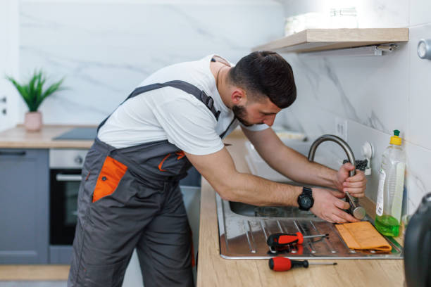 Best Plumbing Services Near Me  in Pulaski, WI