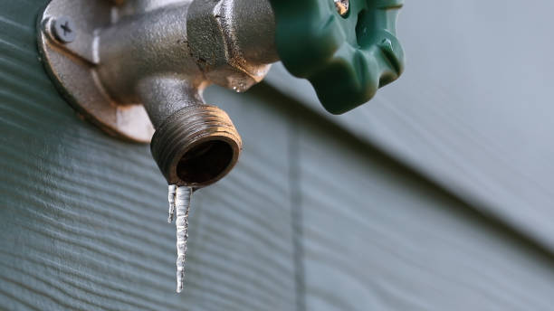 Best Residential Plumbing Services  in Pulaski, WI